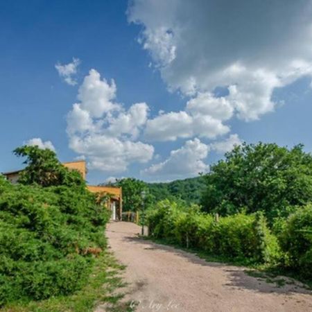 Vila Gite Du Mont Plaisir Chouvigny Exteriér fotografie